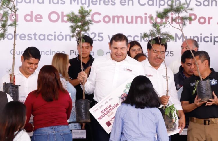 Con reforestación, Gobierno de Armenta Puebla construye paz ambiental