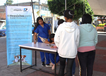 Mega jornada de esterilización canina y felina en San Bernabé Temoxtitla