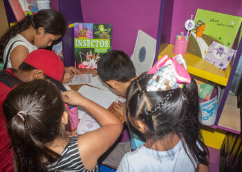 En Veracruz, el cine viaja en combi