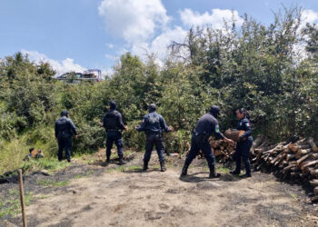 Aseguran Policía Forestal de Puebla y de Montaña de Tlaxcala hornos clandestinos de madera