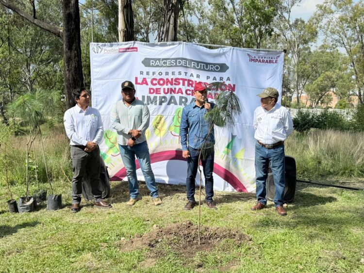 Gobierno de la Ciudad impulsa una Puebla más verde: 520 nuevos árboles para fortalecer nuestras áreas verdes