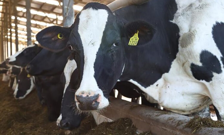 Cae valor de exportaciones agroalimentarias más de mil millones de dólares al primer semestre