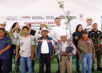 En microrregión de Cuapiaxtla inicia plan de reforestación 2025