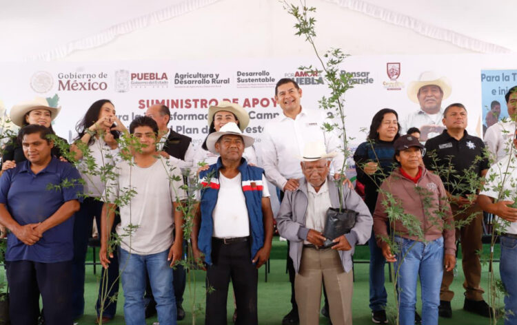 En microrregión de Cuapiaxtla inicia plan de reforestación 2025