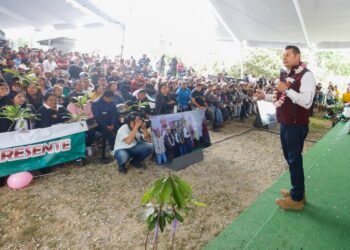 Gobierno de Puebla reforesta Zoquitlán con frutales y fortalece riqueza comunitaria