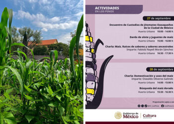 El Complejo Cultural Los Pinos presenta el festival del “Día Nacional del Maíz”