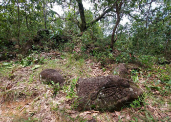 El INAH en Guerrero estudia piedra letra, conjunto ceremonial en cerro de Tlacoachistlahuaca, en la Zona Amuzga