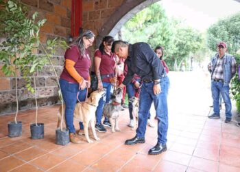 Firma Omar Muñoz convenio con la Universidad Mesoamericana de Puebla