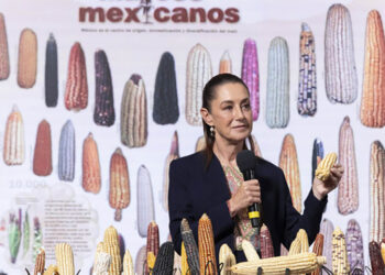 Presidenta Claudia Sheinbaum anuncia programa “Sin maíz no hay país” para producir con bienestar