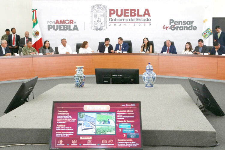 Inician pruebas para convertir lirio en mejorador de suelo agrícola