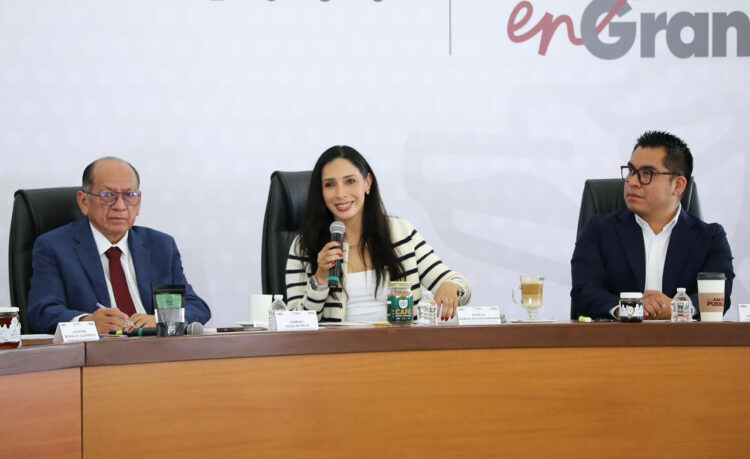 Con reforestación, Gobierno de Puebla protege 46 mil hectáreas de La Malinche