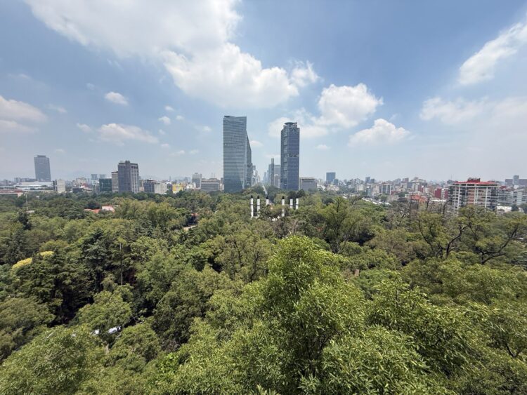 En noviembre, la Ciudad de México protagonizará los paseos culturales del INAH