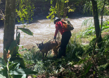 Fuerzas de seguridad mantienen ayuda a familias de la Sierra Norte
