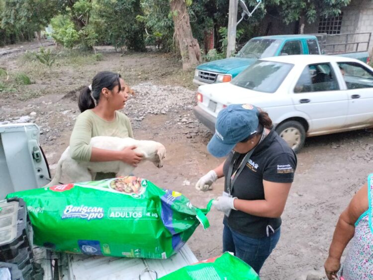 Gobierno de Puebla continúa con atención a seres sintientes en la Sierra Norte