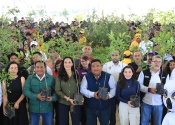 Con 1 millón 605 mil árboles, Gobierno de Puebla nutre el bosque