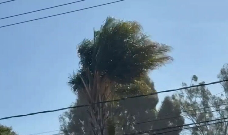 Gobierno de la Ciudad emite recomendaciones ante presencia de ráfagas de viento en la capital poblana