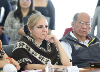 Envía Centros LIBRE- Casas Carmen Serdán psicólogas a la Sierra Norte