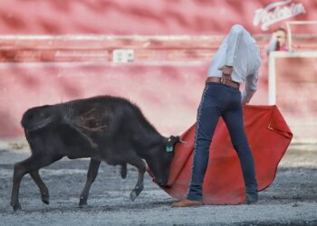 Piedras Negras y De Haro lucen en el último Tentadero Público y Didáctico de la Feria Tlaxcala 2025