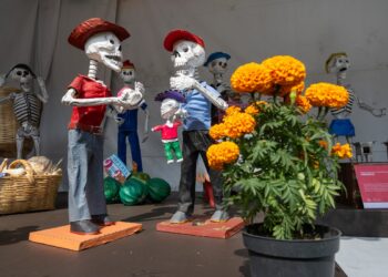Más de 55 mil personas visitaron la XXV Feria de las Calacas de Alas y Raíces
