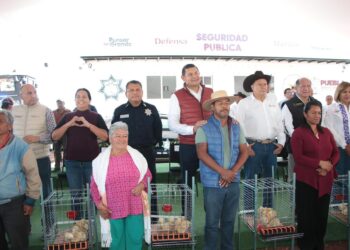 Impulso a la soberanía alimentaria a través de huertos y agricultura urbana