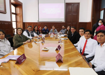 Presenta presidenta de Comisión de Seguridad insumo técnico del plan de trabajo 2026