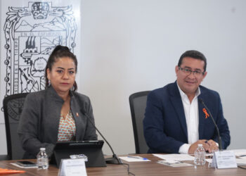 Trabaja Congreso del Estado para garantizar una vida libre de violencia a las mujeres: Pavel Gaspar