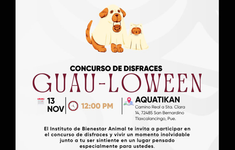 Instituto de Bienestar Animal invita al concurso de disfraces “Guau-loween”