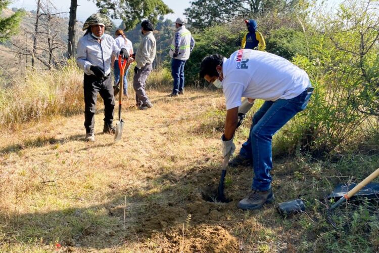 Participa CEASPUE en jornada de limpieza del Atoyac y reforestación en Domingo Arenas