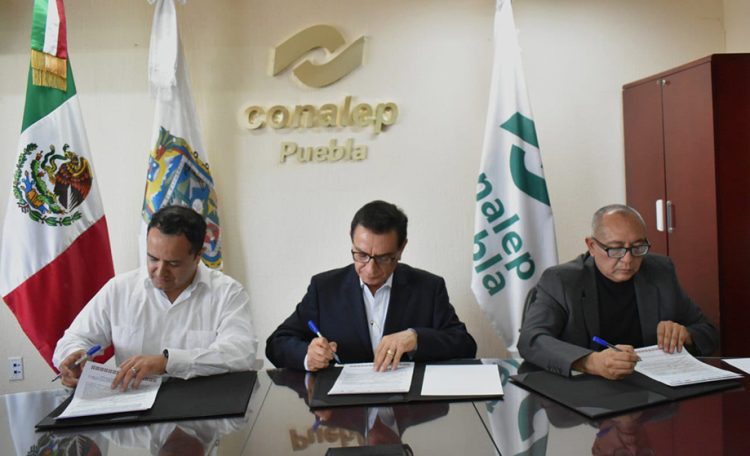 Potencia Conalep desarrollo de competencias laborales en comunidad estudiantil