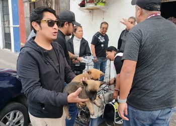 Inicia Gobierno de la Ciudad campaña para inhibir la venta de animales en vía pública