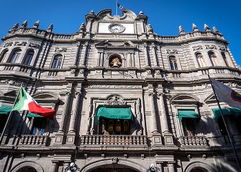 Gobierno de la Ciudad emite recomendaciones para una instalación segura del árbol de navidad