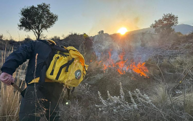 Con respuesta inmediata Gobierno de Puebla evita pérdidas al controlar incendio en El Seco