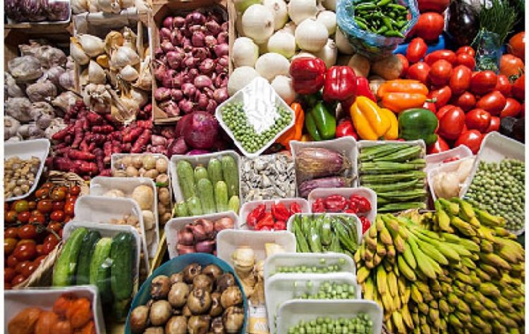 Agrónomos del país, se pronuncian por preparar y ejecutar un plan agroalimentario de gran visión para el periodo 2030 – 2050