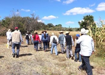 Avanza la Escuela de Maíz en Ahuatempan