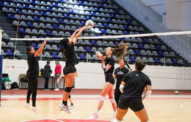 Guerreras de Puebla, la nueva promesa de la LVP, iniciarán torneo