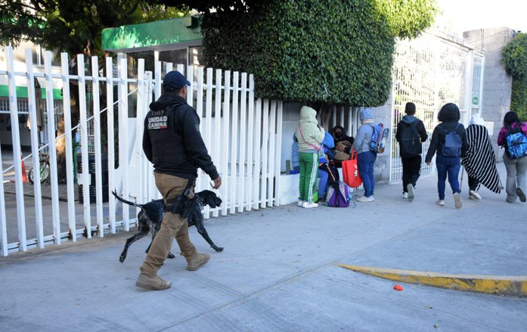 Esta semana regresan a clases millones de estudiantes