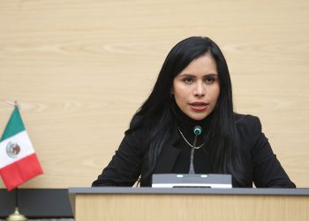 Propone diputada Soledad Amieva implementación de transporte especializado para personas con movilidad severa