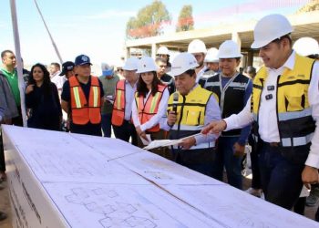 Con enfoque humanista, Célula de Bienestar Animal registra avance del 38 por ciento