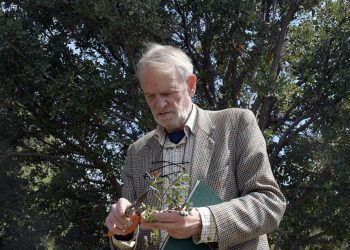 Trabaja BUAP para la conservación de encinos en México y América Central