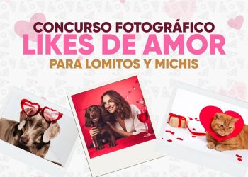 Instituto de Bienestar Animal lanza convocatoria para concurso fotográfico “Likes del Amor”