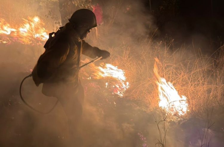 Gobierno de Puebla ha liquidado 88 incendios forestales