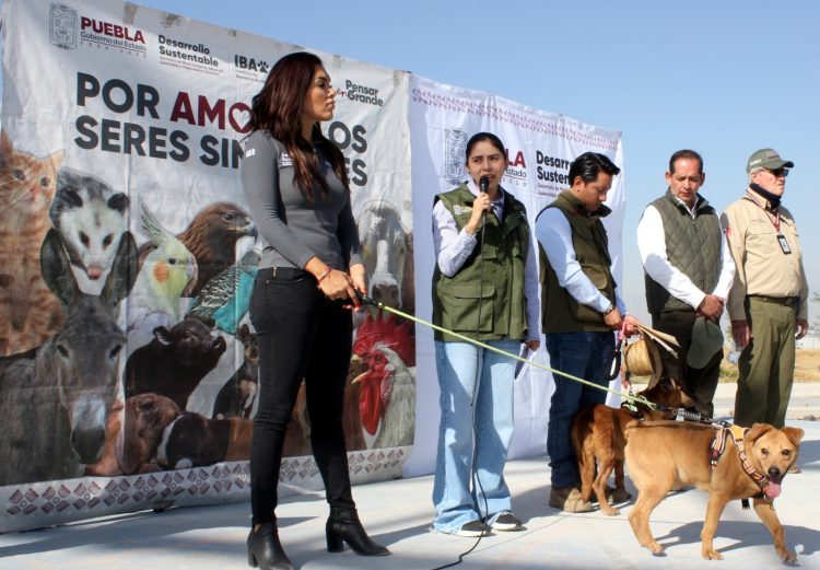 Reforestan Medio Ambiente e IBA el Centro de Bienestar Animal de Xochimehuacán