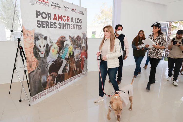 Supervisa SEDIF avances en rehabilitación del Centro de Bienestar Animal