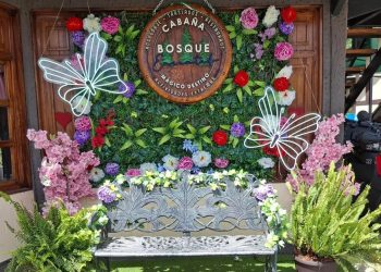 Bosque Encantado: La experiencia inmersiva que redefine el entretenimiento familiar en Venezuela