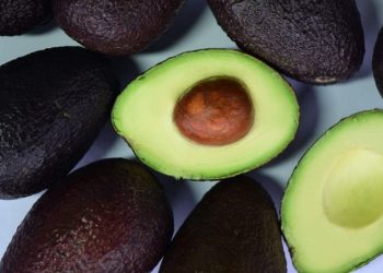 El oro verde del Super Bowl: 120 mil toneladas de aguacate exportadas