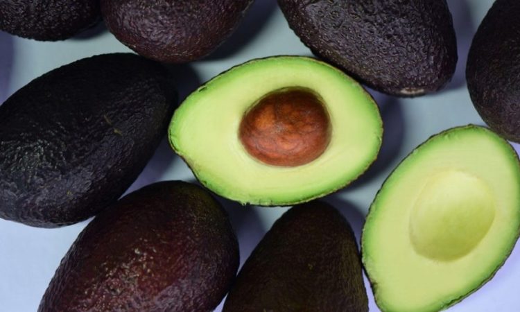 El oro verde del Super Bowl: 120 mil toneladas de aguacate exportadas