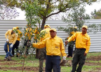 Gobierno Estatal y ambientalistas fortalecen bosque urbano del CIS