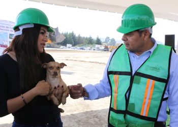 Condena gobierno estatal ataque a una mujer que defendía a seres sintientes