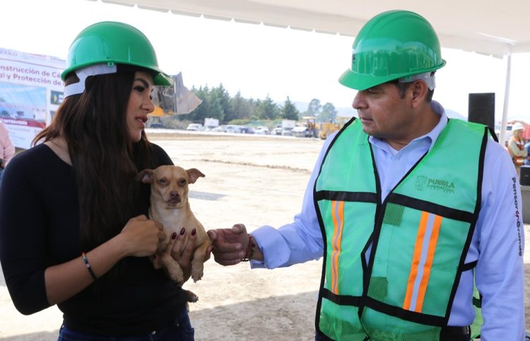Condena gobierno estatal ataque a una mujer que defendía a seres sintientes
