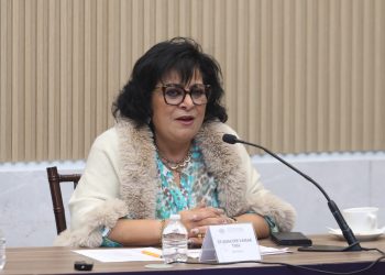 Impulsa la diputada Guadalupe Yamak acciones de seguridad para las mujeres en espacios públicos